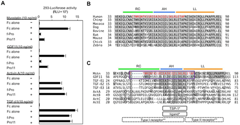 inhibitory core of the myostatin